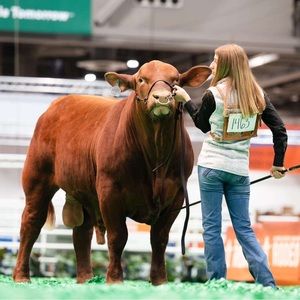 Meet your Posher, Madison